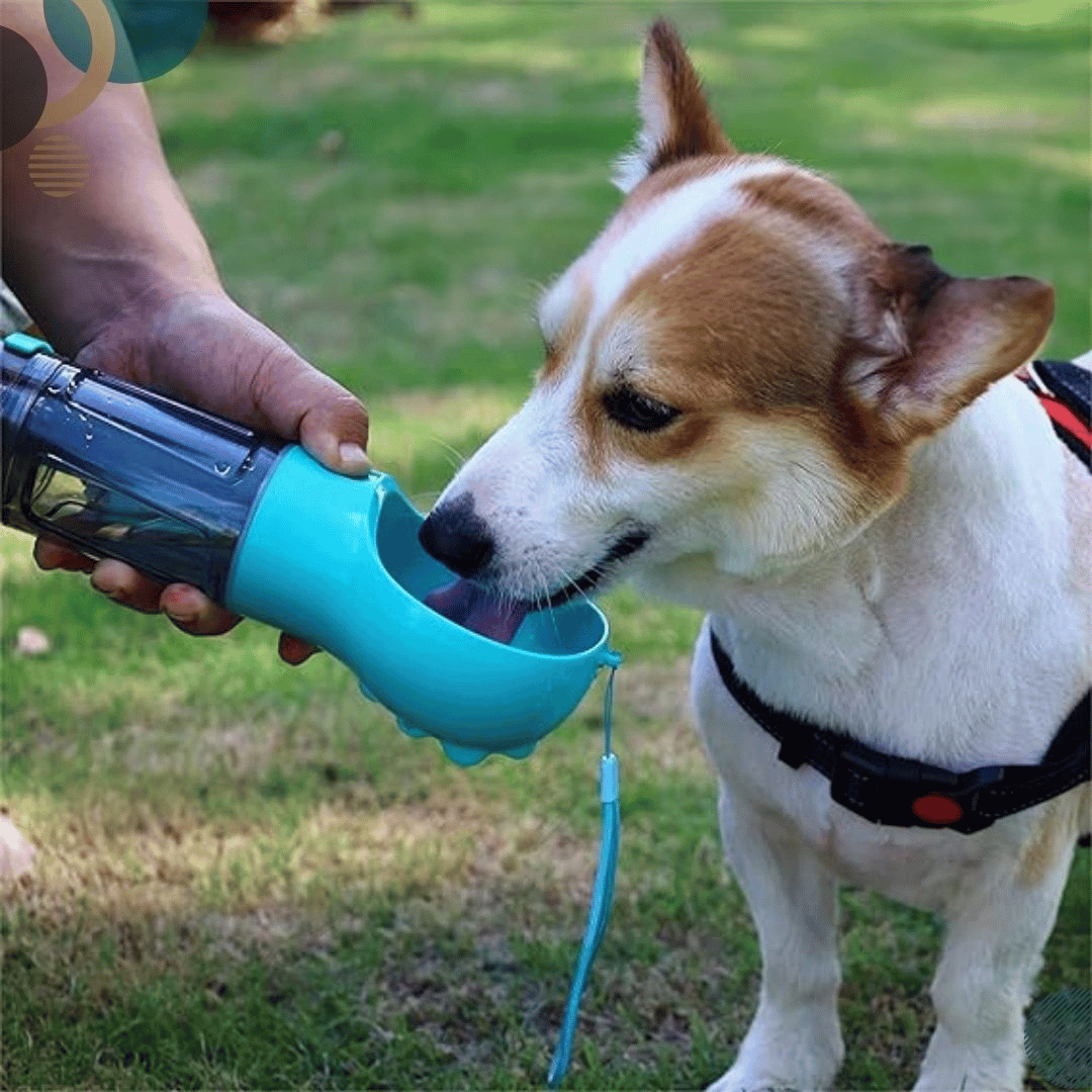 PetGo™ - Botella Multifuncional, Lleva todo lo que necesita tu mascota en un solo accesorio