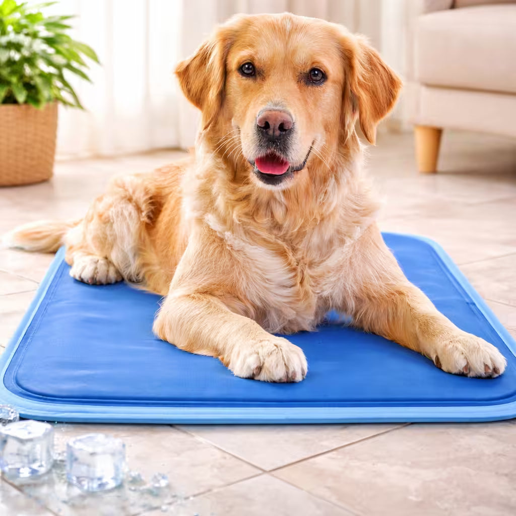 Alfombra auto-refrigerante para perros y gatos -  Cuida a tus mascotas del calor intenso del verano