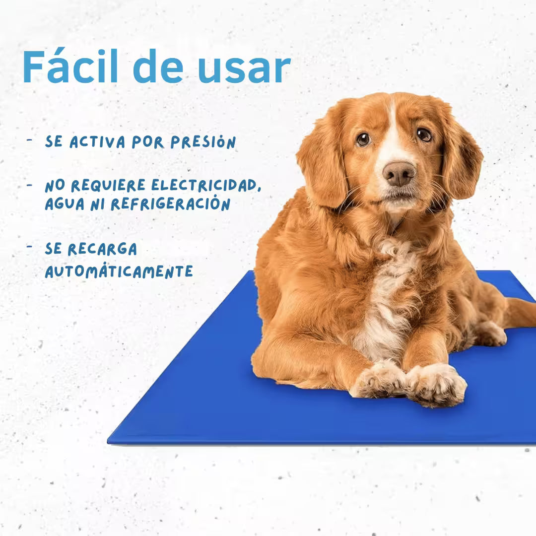 Alfombra auto-refrigerante para perros y gatos -  Cuida a tus mascotas del calor intenso del verano