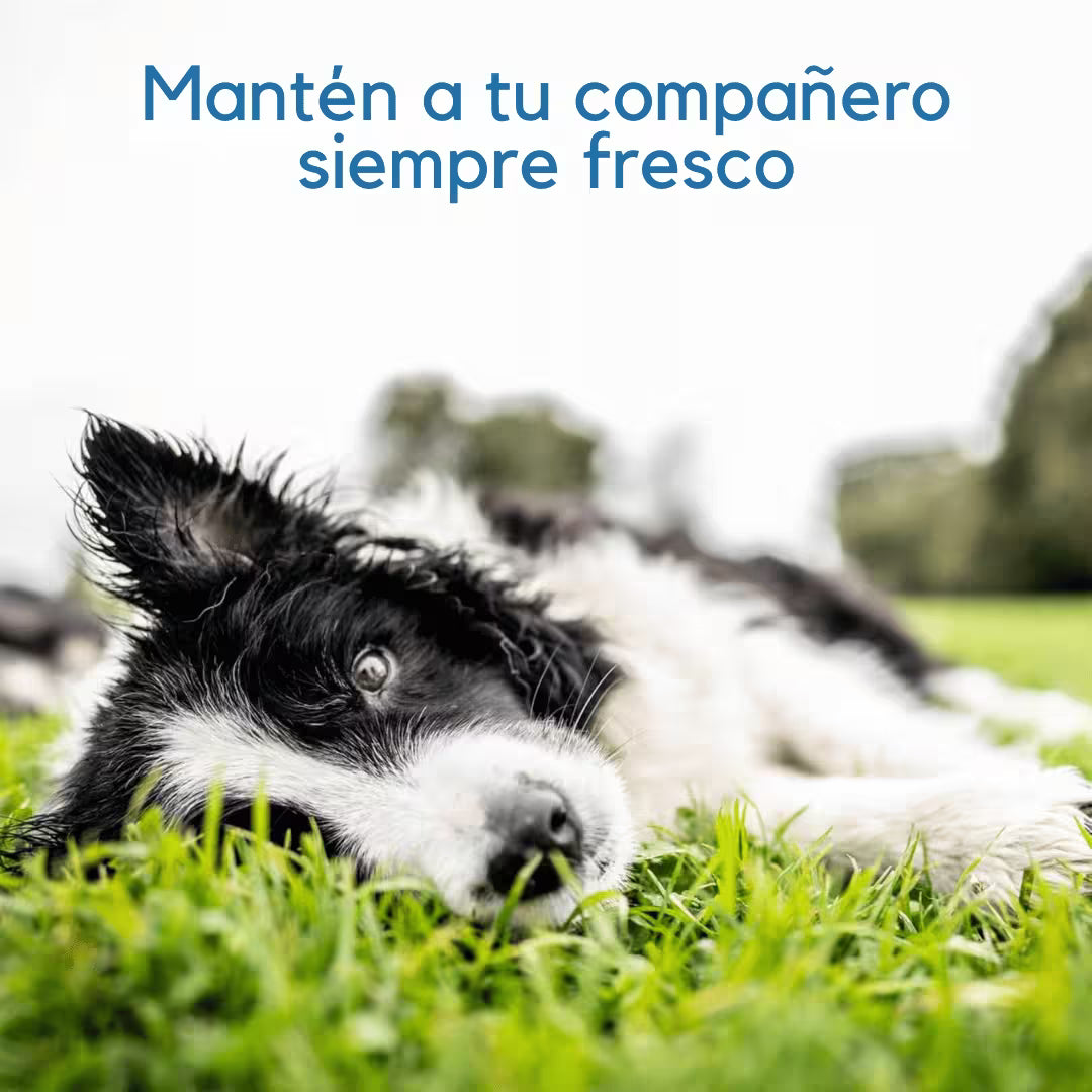 Alfombra auto-refrigerante para perros y gatos -  Cuida a tus mascotas del calor intenso del verano